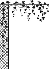 ivy and lattice