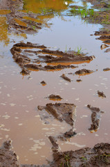 dirty broken rural road with tire tracks