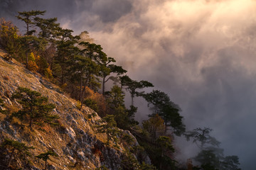 Warm morning sun lights up the trees in autumn colors on the mountain slope, and the low clouds that hide the forest in the valley, creating a mystical atmosphere, Ai Petry, Crimea