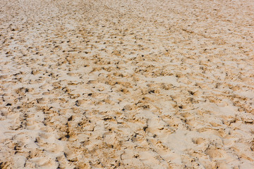 Tottori Sand Dunes