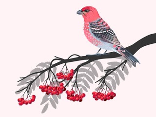 Bird on rowan branch