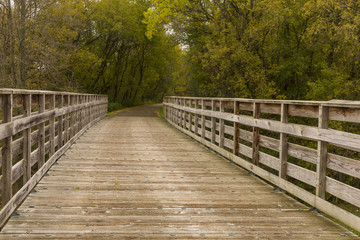 Fototapeta na wymiar Bike Trail Bridge in Autumn