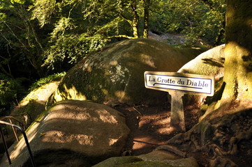 Fototapete bei efototapeten.de bestellen   