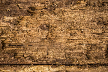 natural beautiful old wood texture
