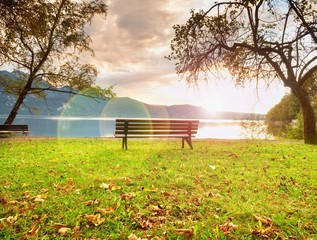 Strong flare defect, bench at mountain lake. Pond bank  tree,