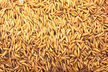 Food background. Pile of unmilled rice grain. Can use as abstract background. top view
