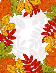 vector Frame of leaves