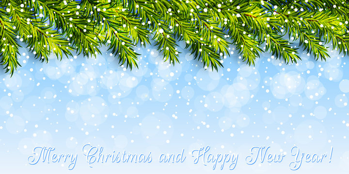 Christmas background with christmas tree branches and snow vecto