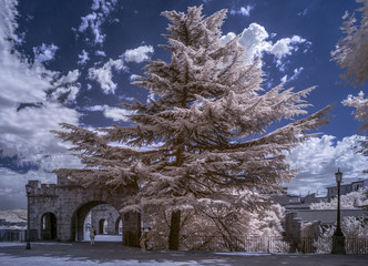 Pamplona infrared