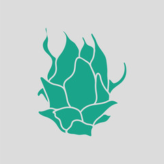 Dragon fruit icon