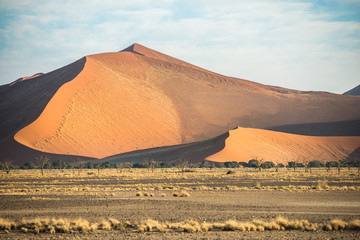 Fototapeta na wymiar A huge sand dune, covered by rare dry Namibian vegetation
