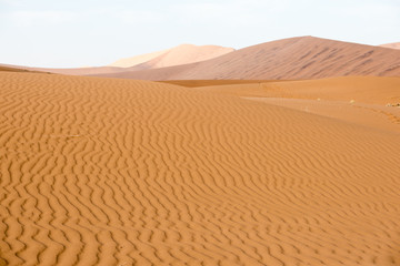 Fototapeta na wymiar Endless sand waves on a sand dune of Namib Desert