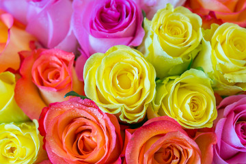 Bouquet of multicolored roses for wedding ceremony