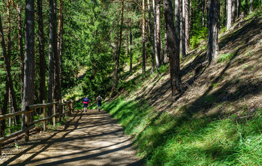 couple trekking in the forests of the Alps