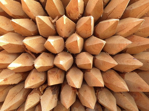 Angespitzte Zaunpf&auml;hle