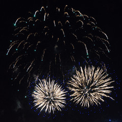 Fireworks at Battersea Park