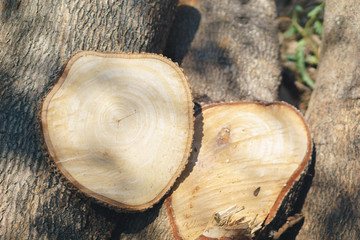 wooden cutting board