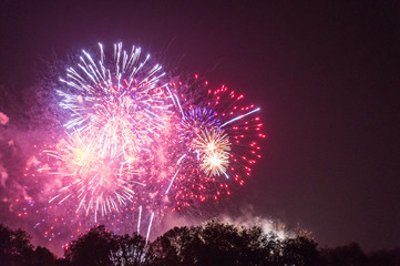 Fireworks at Battersea Park