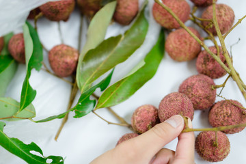 Thai Lychee fruit