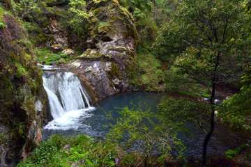 Fototapeta na wymiar Waterfall in the Blue Lake at the Blue Mountains in New South Wa