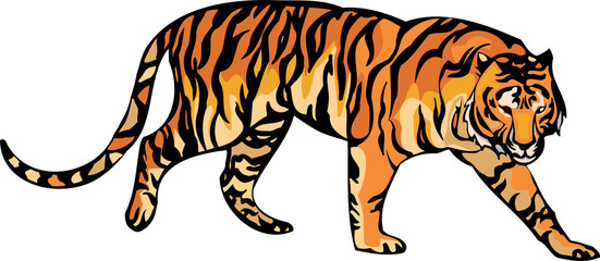 Vector illustration of  Malaysia Tiger