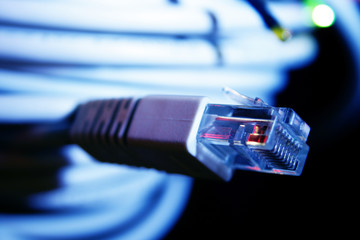 Network cable