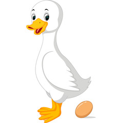 Cute duck