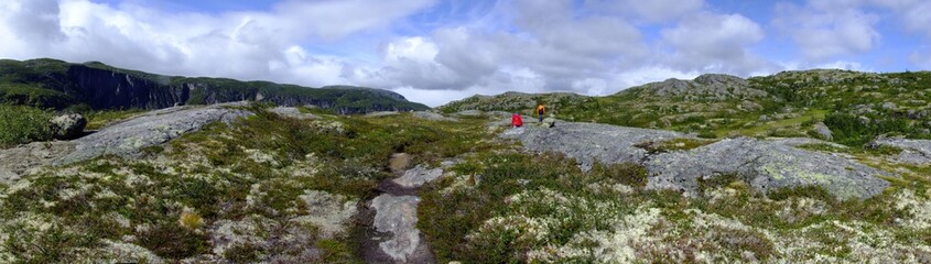 Fototapeta na wymiar Im Hjølmodalen in Eidfjord