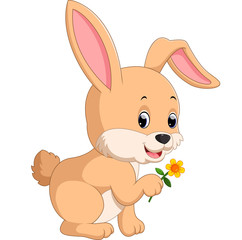 cute rabbit cartoon