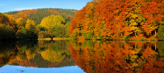 Obraz premium Autumnal trees reflection in the lake water.