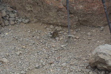 raue Landschaft Tansania
