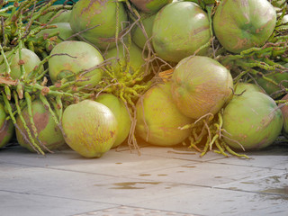 Green coconut bunch is left on the concrete cement ground in the