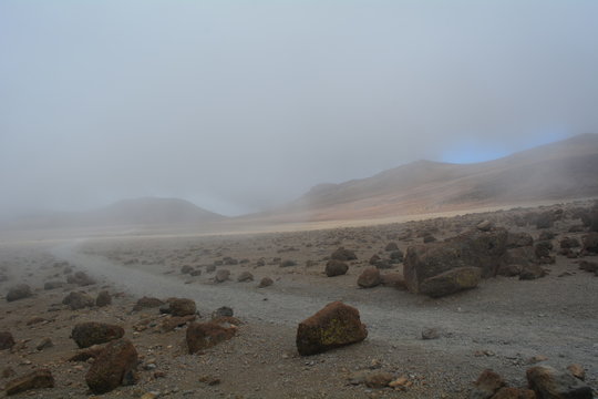 reaue Landschaft in Tansania