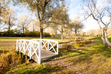 Beautiful autumn in city park with bridge and ducks