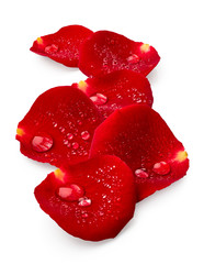 Red rose petals with drops of water