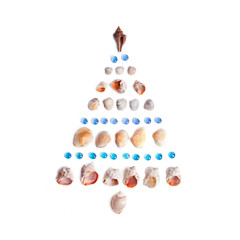 Christmas tree of shells. Holidays at sea