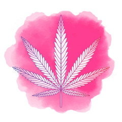 Decorative Cannabis leaf isolated. Marijuana leaf silhouette. Ve