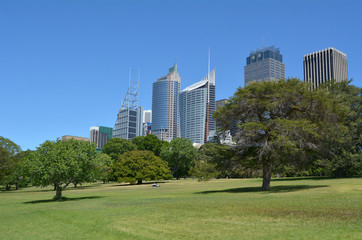 Royal Botanic Garden Sydney Australia