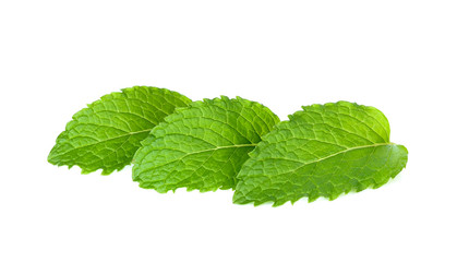 Fresh mint isolated on the white background