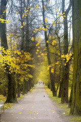 Fototapeta premium Autumn Park, Russia, Tsarskoye Selo