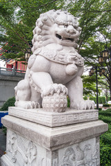 Fototapeta na wymiar statue lion in chinese temple