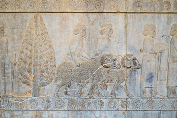 Der Iran - Persepolis