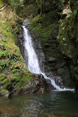 愛媛県　三滝渓谷