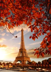 Fotobehang Eiffeltoren Eiffeltoren met herfstbladeren in Parijs, Frankrijk
