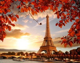 Fotobehang Tower Bridge Eiffeltoren met herfstbladeren in Parijs, Frankrijk