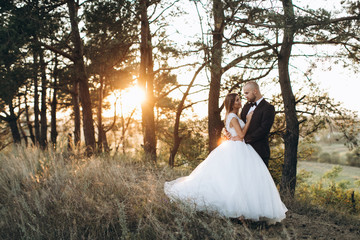 Stylish bride and bearded muscular groom posing on the wedding