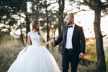 Stylish bride and bearded muscular groom posing on the wedding