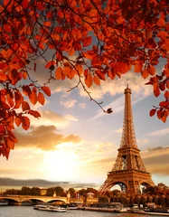 Deurstickers Eiffeltoren met herfstbladeren in Parijs, Frankrijk © Tomas Marek