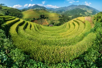 Photo sur Plexiglas Mu Cang Chai Terraced rice field in Mu Cang Chai, Vietnam