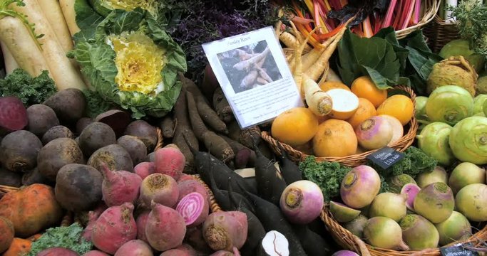 Panning view of a display of organic autumnal vegetables roots at a food market